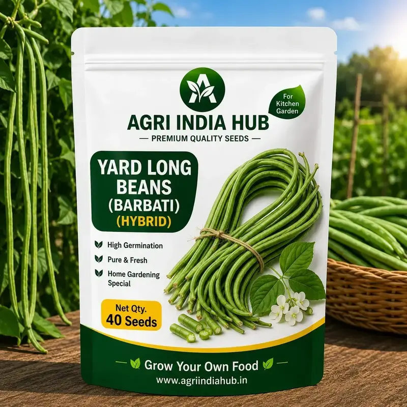 141 Yard Long Beans Seeds 40 Seeds | Long Bean / Barbati Seeds for Home Garden - Image 1