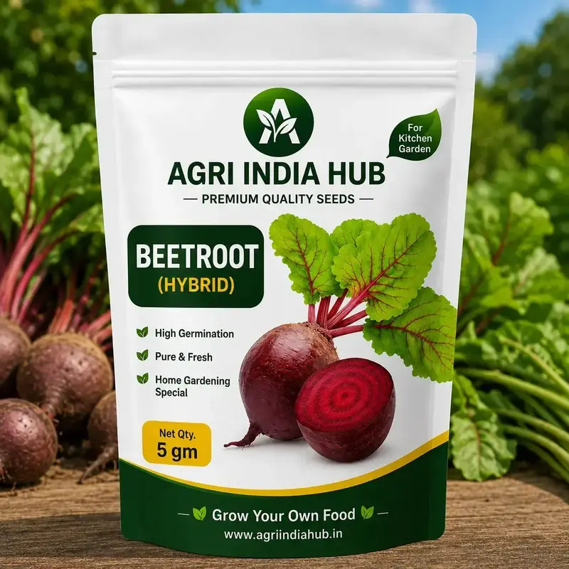 151 Beetroot Seeds 5 Gm | Beet Seeds for Home & Kitchen Garden - Image 1