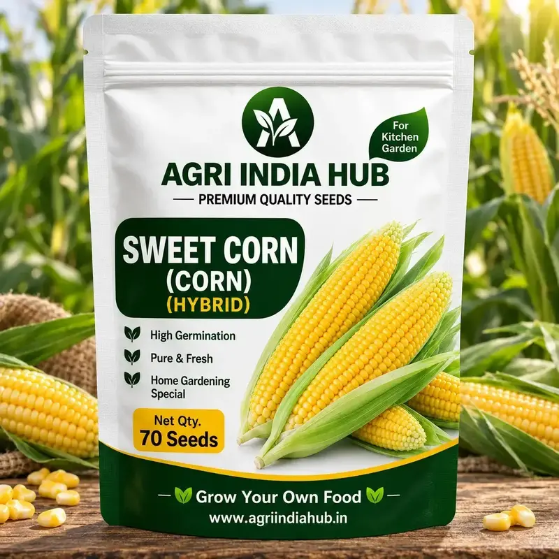 161 (1) Sweet Corn Seeds 70 Seeds | Corn Seeds for Home & Kitchen Garden - Image 1