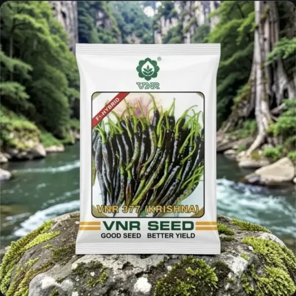VNR Krishna f1 hybrid chilli Seeds