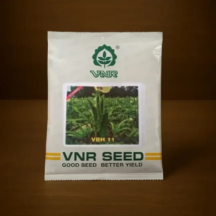 VNR VBH 11 f1 hybrid okra Seeds