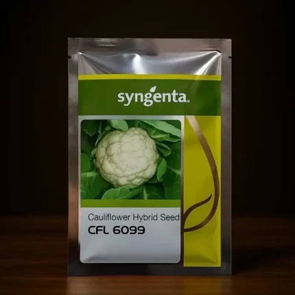Syngenta CFL 6099 – Cauliflower Hybrid Seed