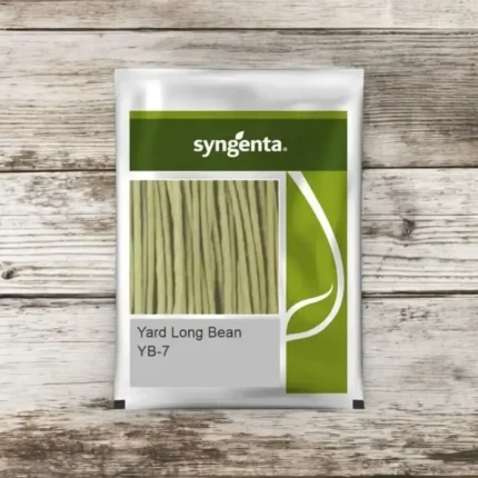 Sygenta seeds yard long Beans YB7 seed