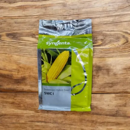 Sygenta seeds sweet corn swc 1 Seed