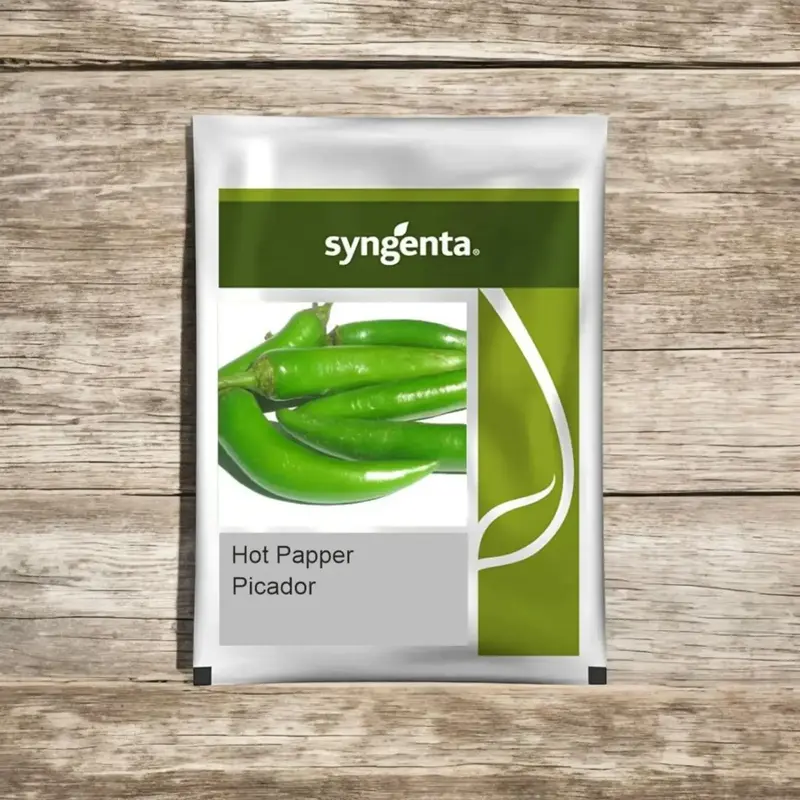 851 - 2026-09-25T092525.830 Sygenta seeds picador F1 hybrid Hot pepper seed - Image 1