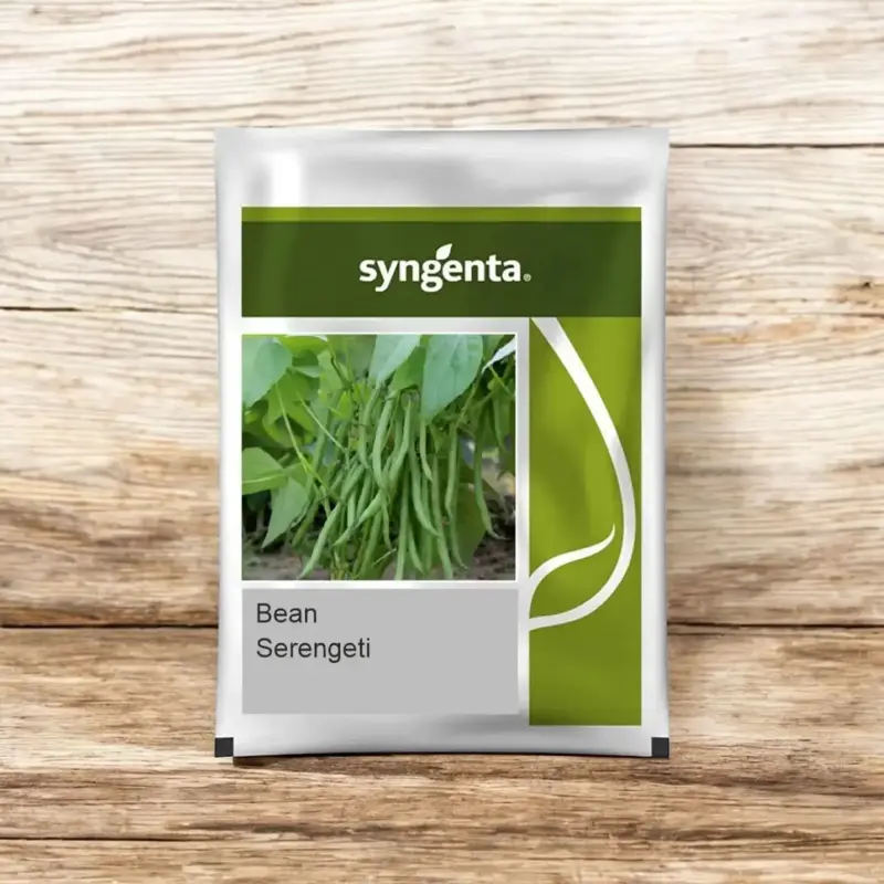 851 - 2026-09-25T094430.110 Sygenta seeds serengeti Beans F1 hybrid seeds - Image 1