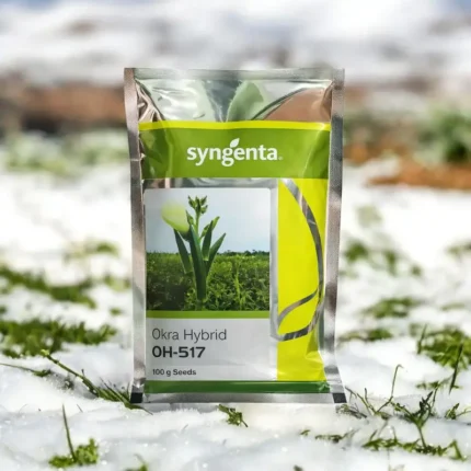 Syngenta OH-517 Hybrid Okra Seeds (Bhindi)