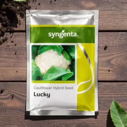 Syngenta Lucky F1 Hybrid Cauliflower Seeds