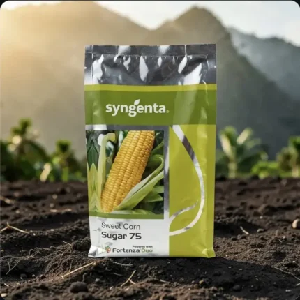 Syngenta Sugar 75 F1 Hybrid Sweet Corn Seeds