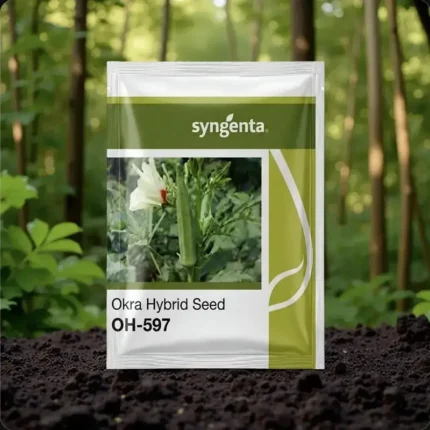 Syngenta OH-597 F1 Hybrid Okra Seeds