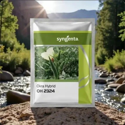 Syngenta OH 2324 F1 Hybrid Okra Seeds