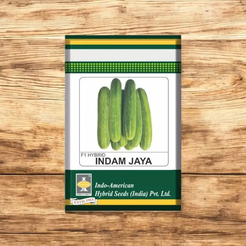 851 - 2026-09-25T122237.652 Indo american seeds indam Jaya cucumber F1 hybrid seed - Image 1