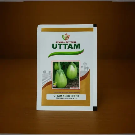 Uttam Seeds sukalyani F1 hybrid brinjal Seeds