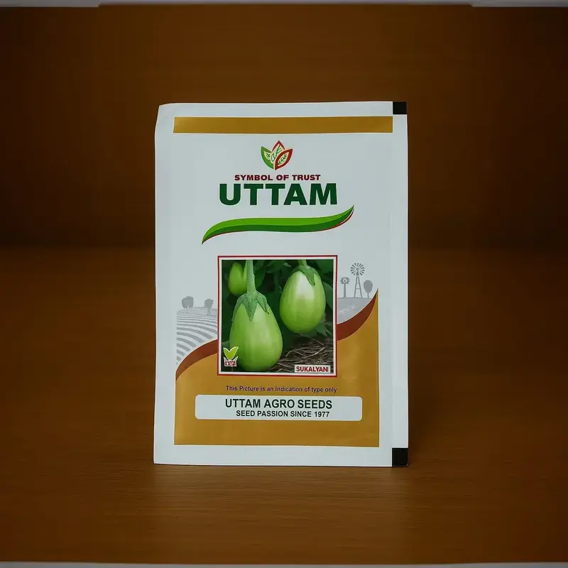 851 - 2026-09-25T133026.508 Uttam Seeds sukalyani F1 hybrid brinjal Seeds - Image 1