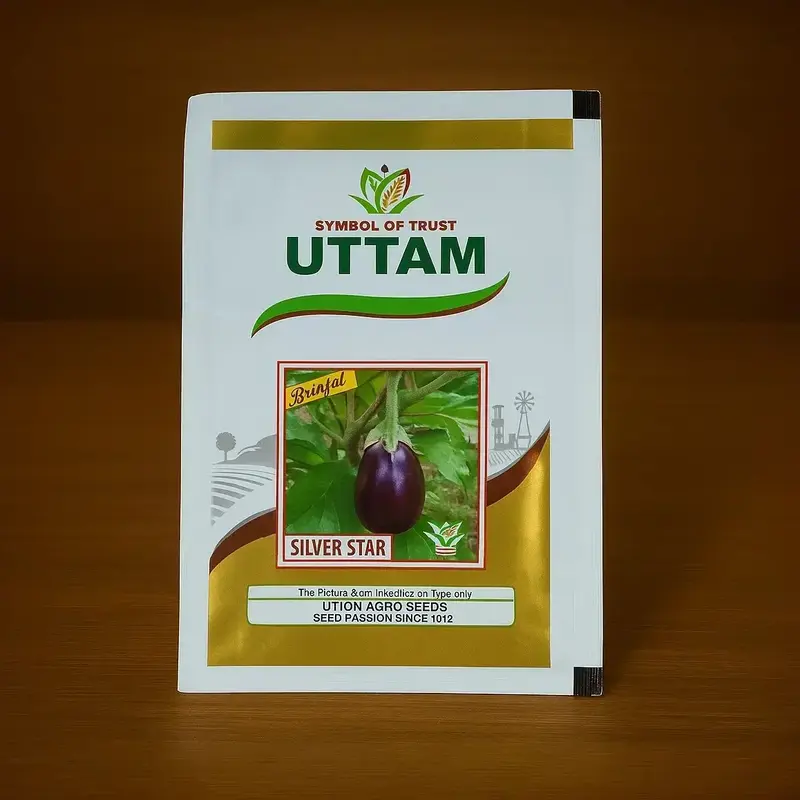 851 - 2026-09-25T133223.645 Uttam Silver Star F1 Hybrid Brinjal Seeds - Image 1