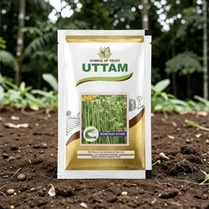 Uttam Kumudini Super Yard Long Bean Seeds