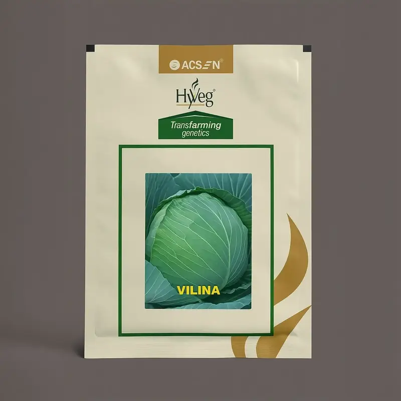 851 - 2026-09-25T144525.167 HyVeg Vilina Cabbage Seeds - Image 1