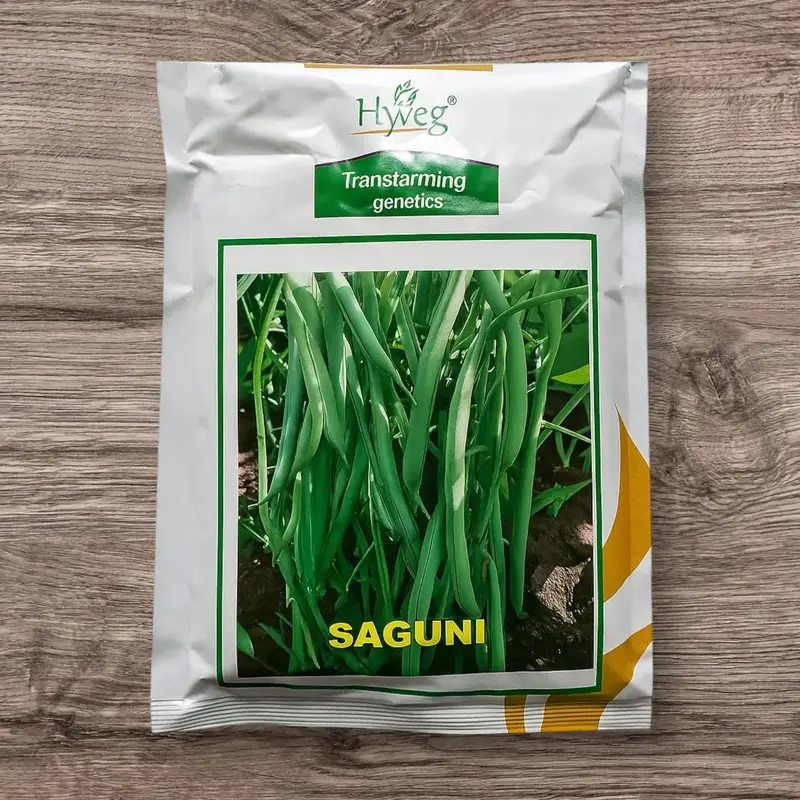 851 - 2026-09-25T145151.375 HyVeg Saguni French Bean Seeds - Image 1
