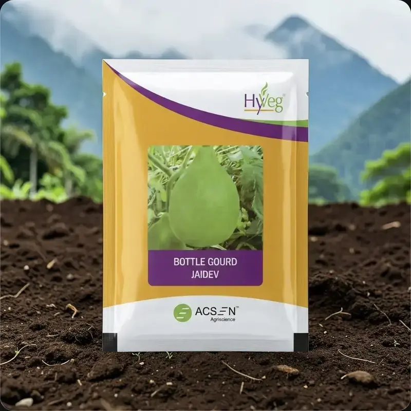 851 - 2026-09-25T150656.503 Acsen Hyveg Jaidev F1 Hybrid Bottle Gourd Seeds - Image 1