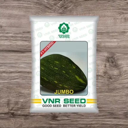 VNR Jumbo F1 Hybrid Pumpkin Seeds