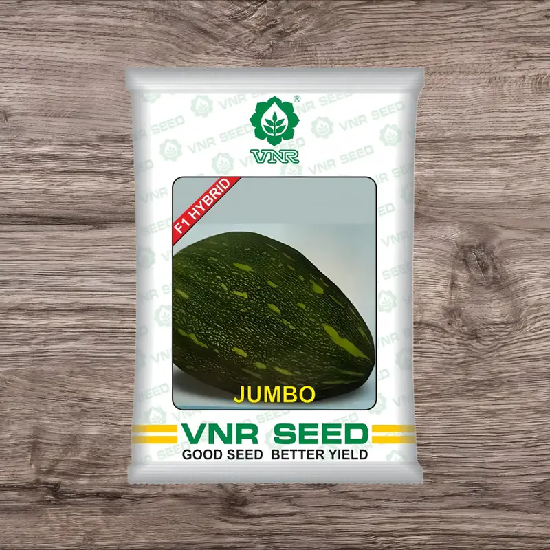 851 (21) VNR Jumbo F1 Hybrid Pumpkin Seeds - Image 1