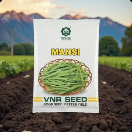 VNR MANSI F1 Hybrid Cluster Bean Seeds