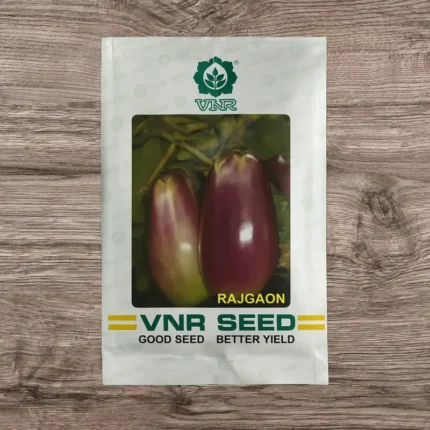 VNR Rajgaon F1 Hybrid Brinjal Seeds