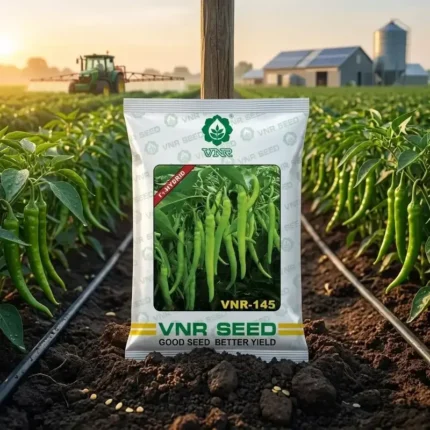 VNR 145 F1 Hybrid Chilli Seeds