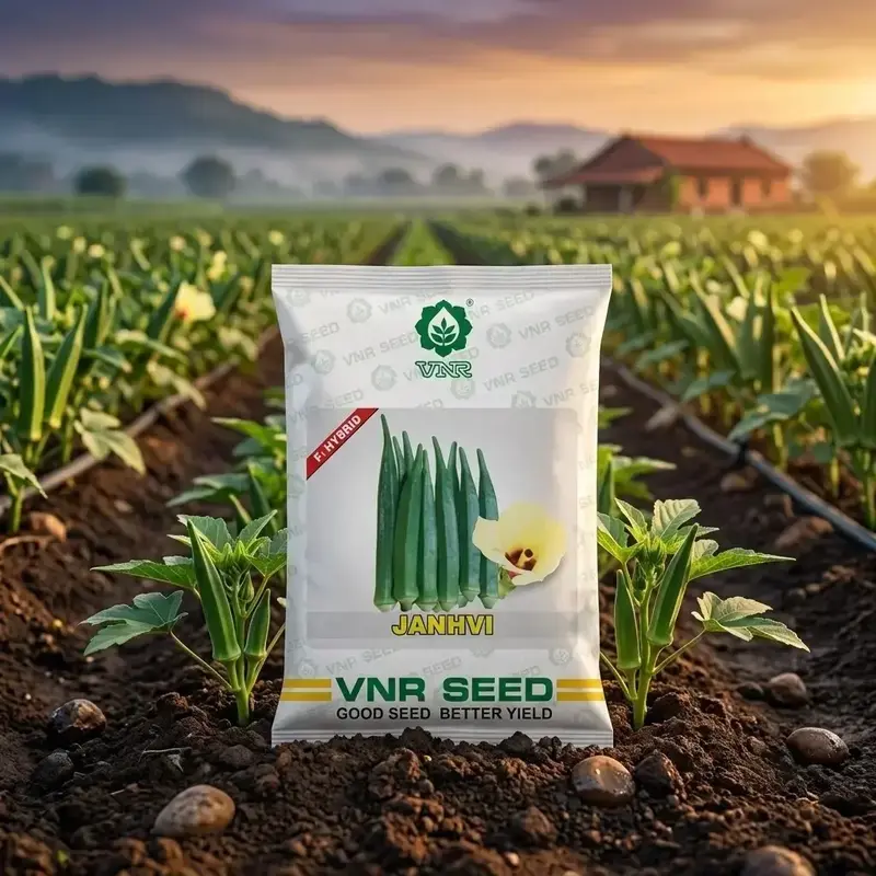 851 (35) VNR Janhvi F1 Hybrid Okra Seeds - Image 1