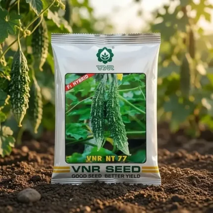 VNR NT 77 F1 Hybrid Bitter Gourd (Karela) Seeds