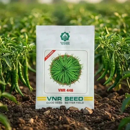 VNR 446 F1 Hybrid Chilli Seeds