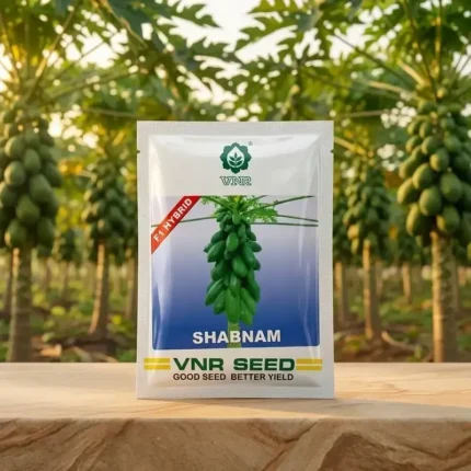 VNR Shabnam F1 Hybrid Papaya Seeds