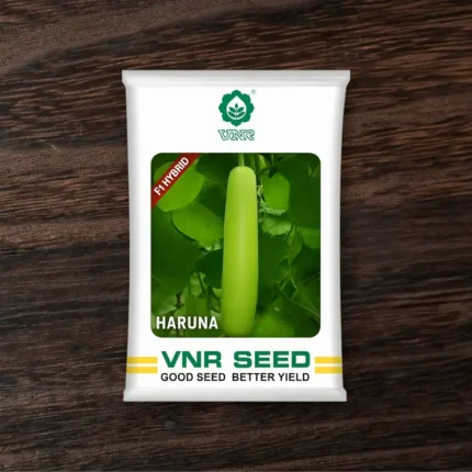 Vnr Haruna Bottle Gourd Seed