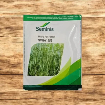 Seminis SVHA 1452 F1 Hybrid Hot Pepper Seeds