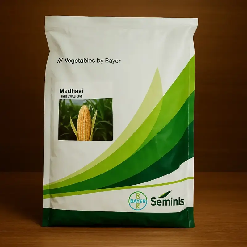 851 (65) Seminis Madhavi F1 Hybrid Sweet Corn Seeds - Image 1
