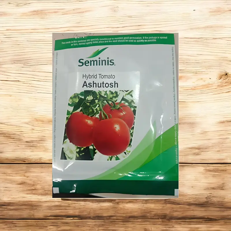 851 (67) Seminis Ashutosh F1 Hybrid Tomato Seeds - Image 1