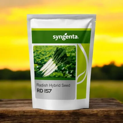 Syngenta RD 157 – Hybrid Radish Seeds