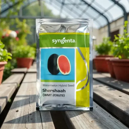 Syngenta Shershaah f1 Hybrid Watermelon Seeds