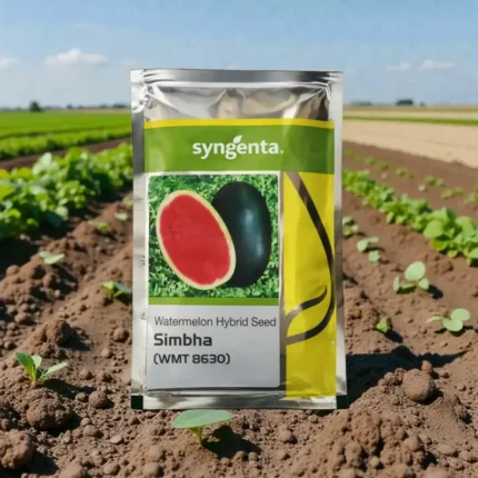 Syngenta Simbha F1 Hybrid Watermelon Seeds