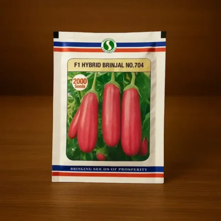 Sungrow Seed Brinjal 704 F1 hybrid Brinjal Seeds