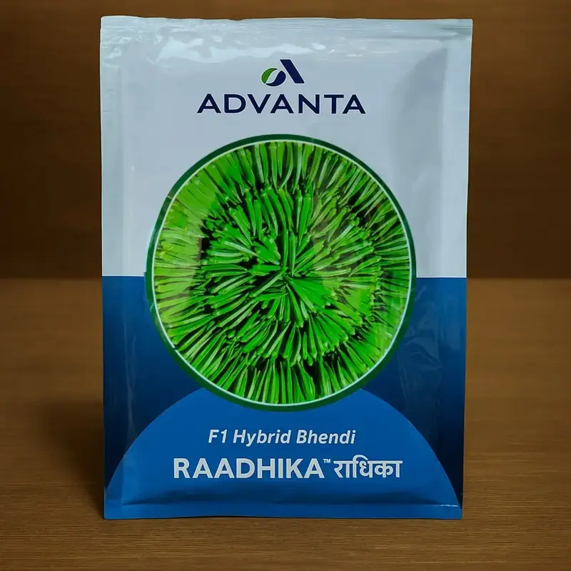 85671 (12) Raadhika F1 Hybrid Okra (Bhendi) seeds - Image 1
