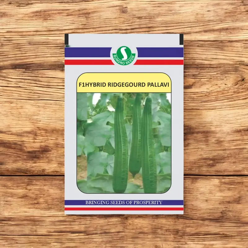 85671 (21) Sungro Pallavi F1 Hybrid Ridge Gourd Seeds - Image 1
