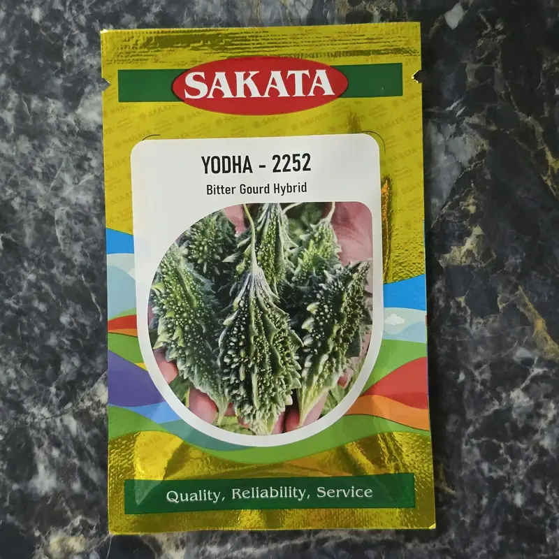85671 (22) Sakata Yodha-2252 F1 Hybrid Bitter Gourd Seeds - Image 1