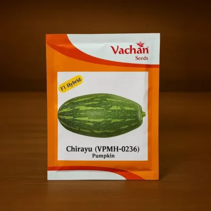 Vachan Chirayu (VPMH-0236) F1 Hybrid Pumpkin Seeds
