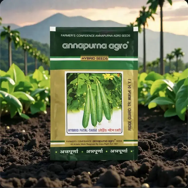 85671 (38) Annapurna Agro Hybrid Patal-Tarai (H.Y.) Ridge Gourd Seeds - Image 1