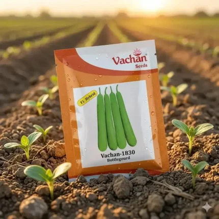 Vachan 1830 F1 Hybrid Bottle Gourd Seeds