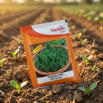 Vachan 208 F1 Hybrid Bitter Gourd Seeds
