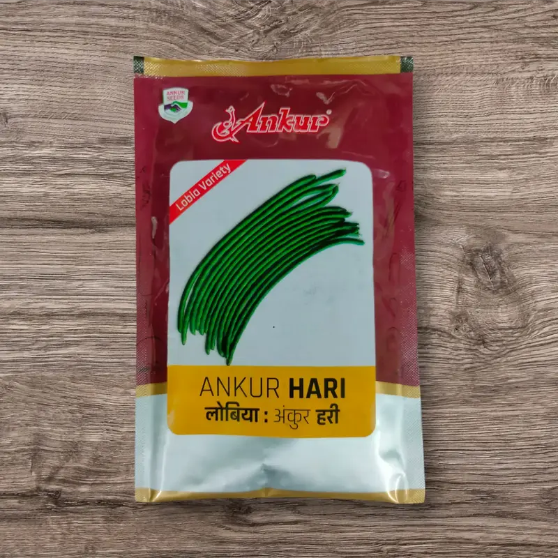 851 - 2026-10-03T095939.215 Ankur Hari Cowpea Seeds - Image 1