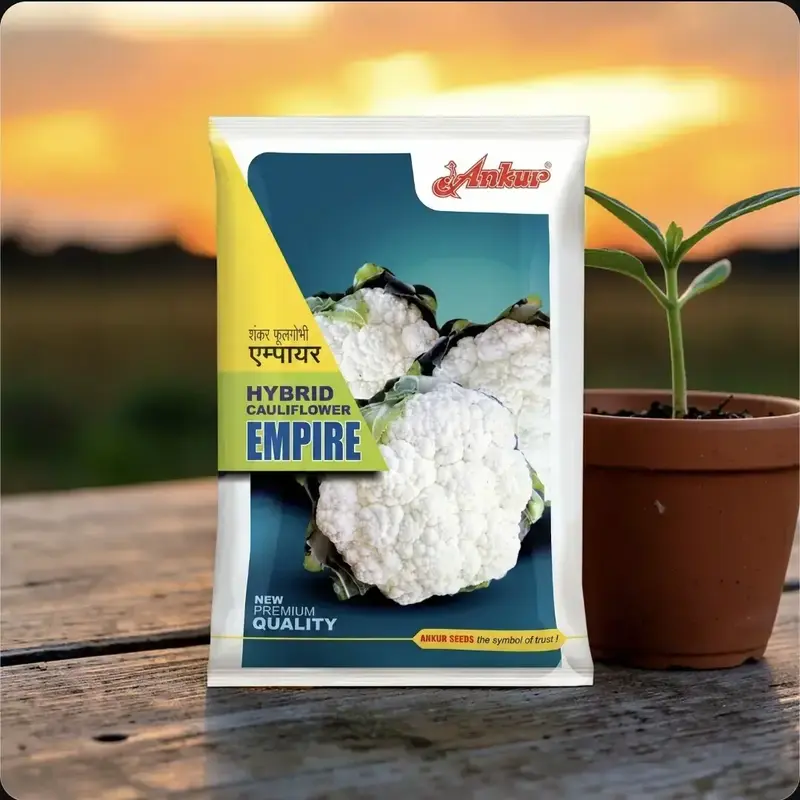 851 - 2026-10-03T105505.524 Ankur Empire f1 Hybrid Cauliflower Seeds - Image 1