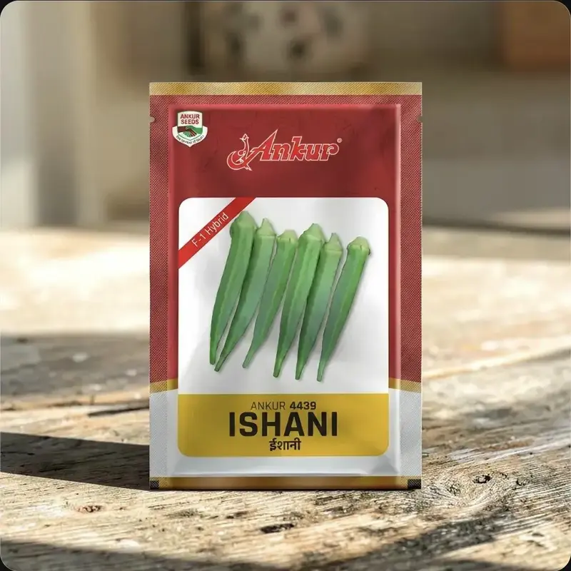 851 - 2026-10-03T112730.838 Ankur Ishani (4439) F1 Hybrid Okra Seeds - Image 1